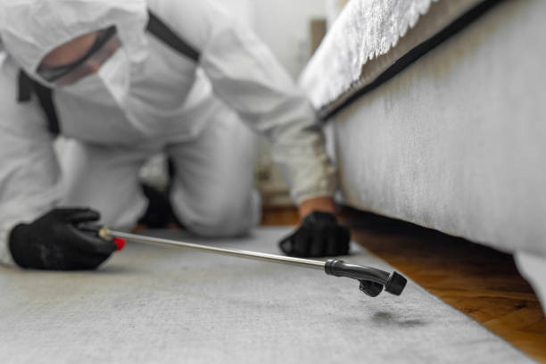 Professional Cockroach Control technician working in Manistique, MI