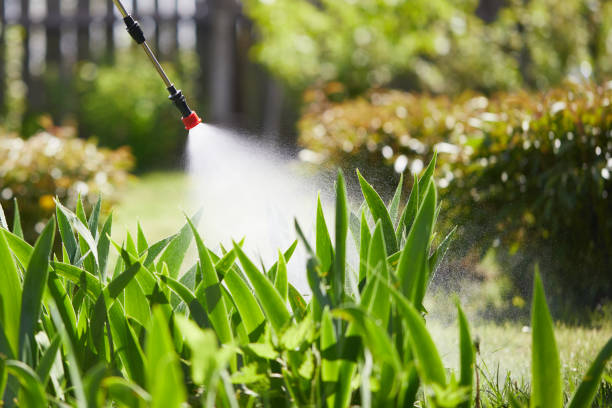 24/7 Emergency Cockroach Control experts in Manistique, MI