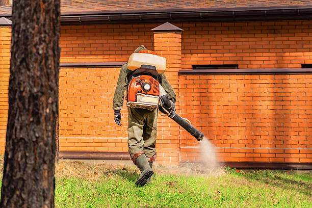 Top rated local Cockroach Control specialists in Manistique, MI